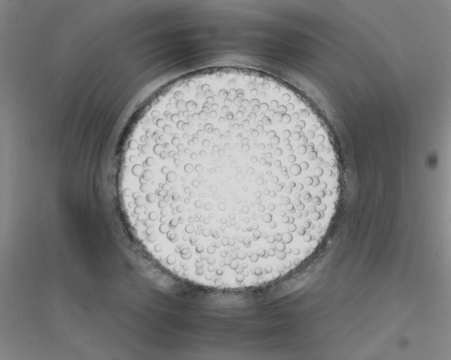 X0000116840931201001291701
