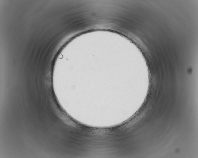 X0000116840934201001291701