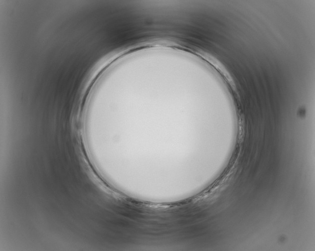 X0000116840935201001291701