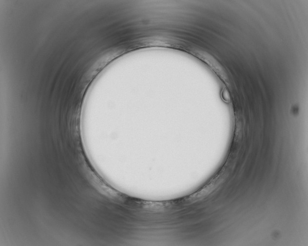 X0000116840938201001291701