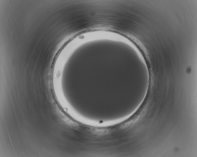 X0000116840941201001291701