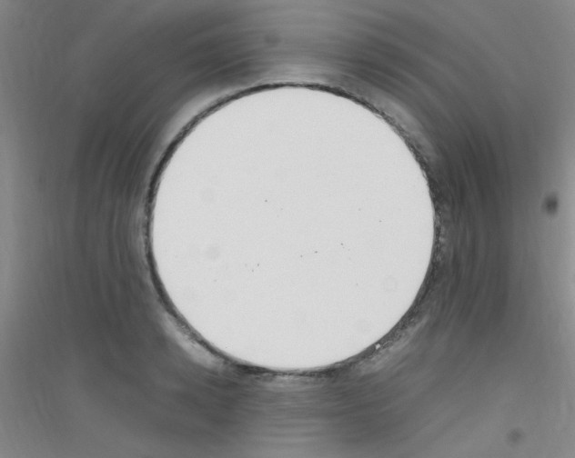 X0000116840942201001291701