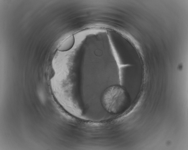 X0000116840945201001291701