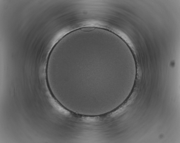 X0000116840946201001291701