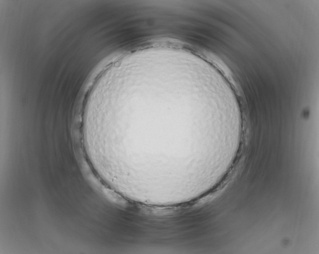X0000116840947201001291702