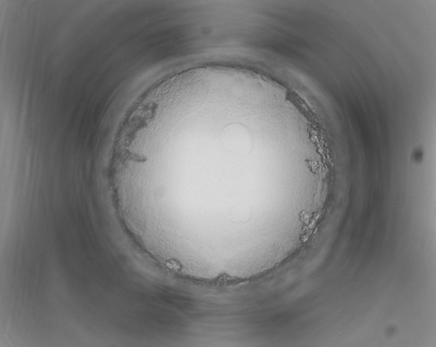 X0000116840950201001291702