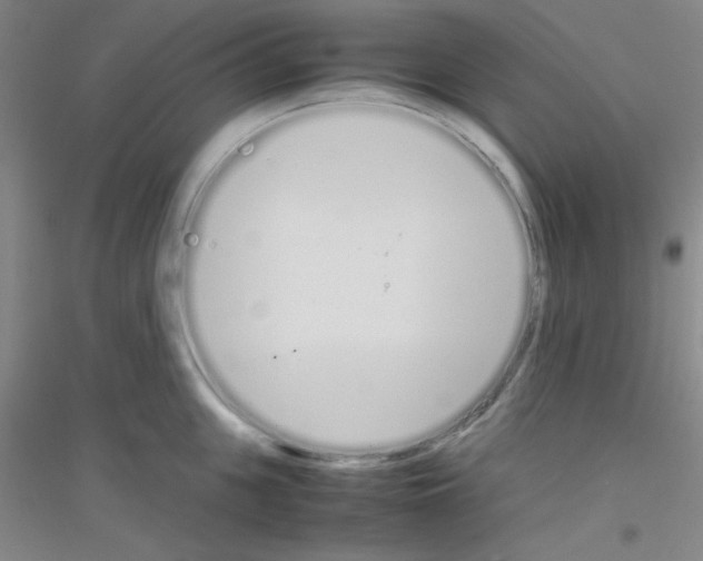 X0000116840951201001291702