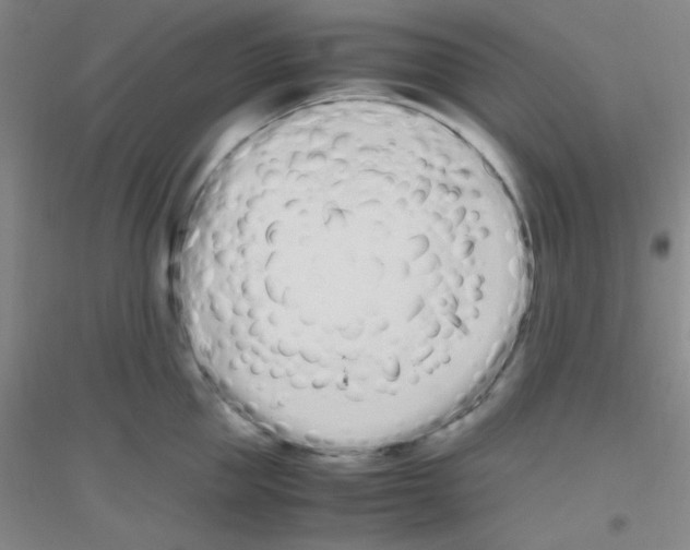 X0000116840953201001291702