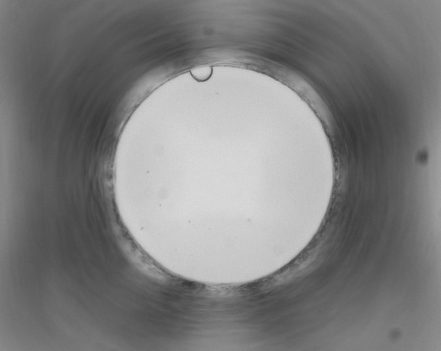 X0000116840954201001291702