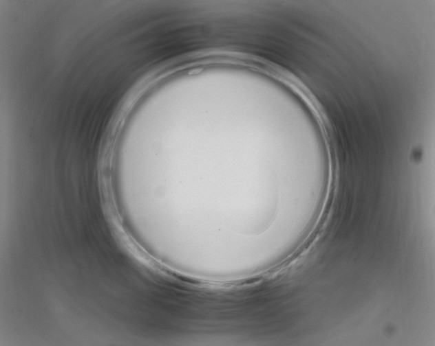 X0000116840955201001291702