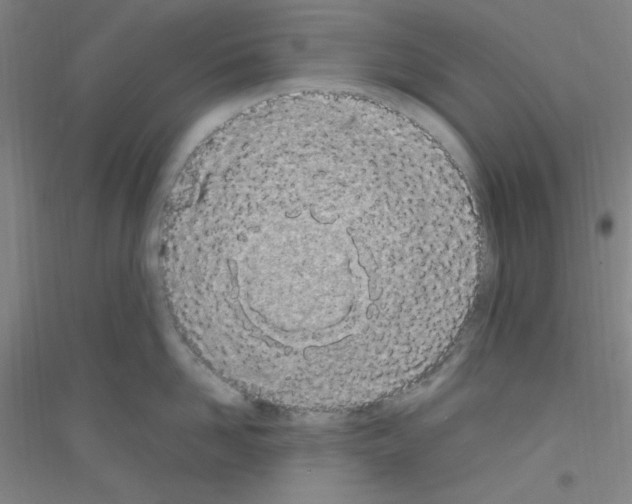 X0000116840958201001291702