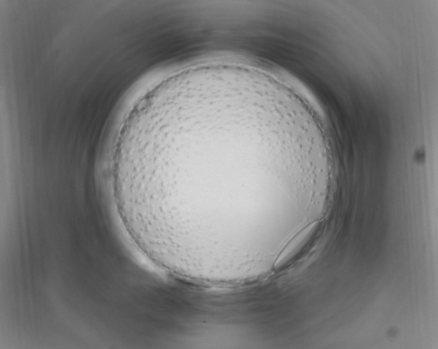 X0000116840959201001291702