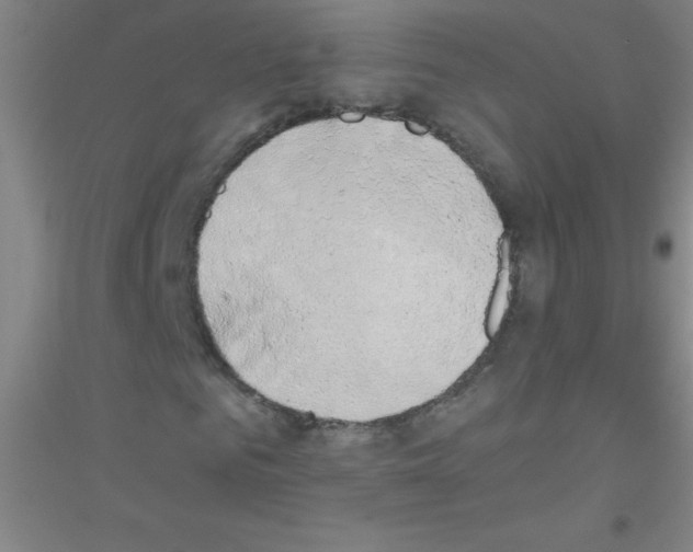 X0000116840961201001291701