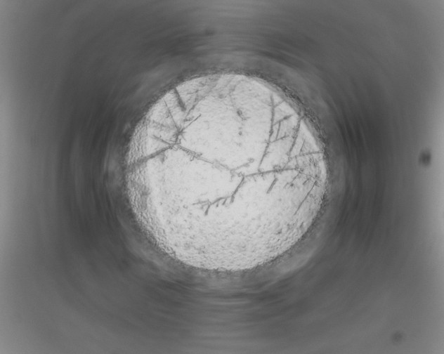 X0000116840962201001291701