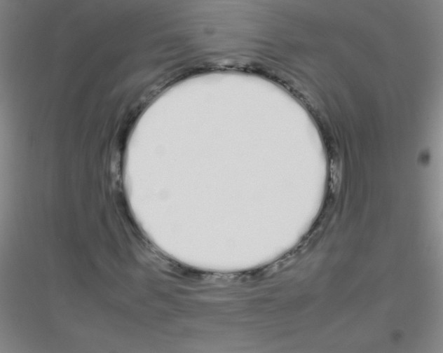 X0000116840963201001291701