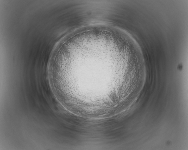 X0000116840964201001291701