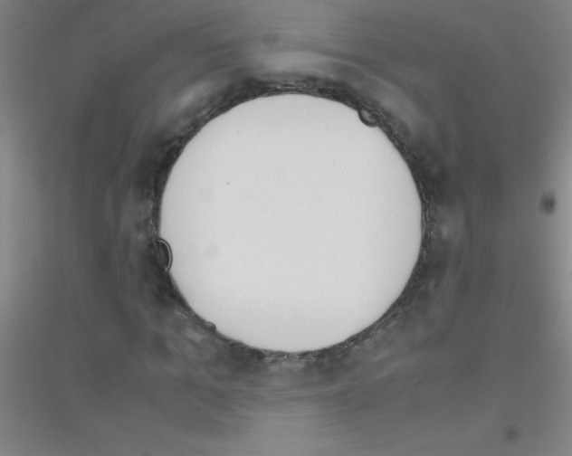 X0000116840965201001291701