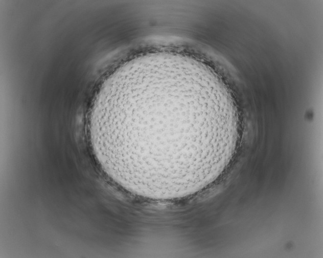 X0000116840966201001291701