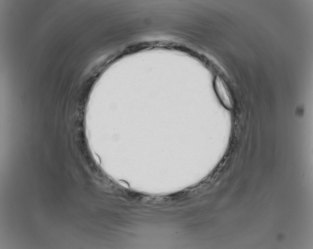X0000116840967201001291701