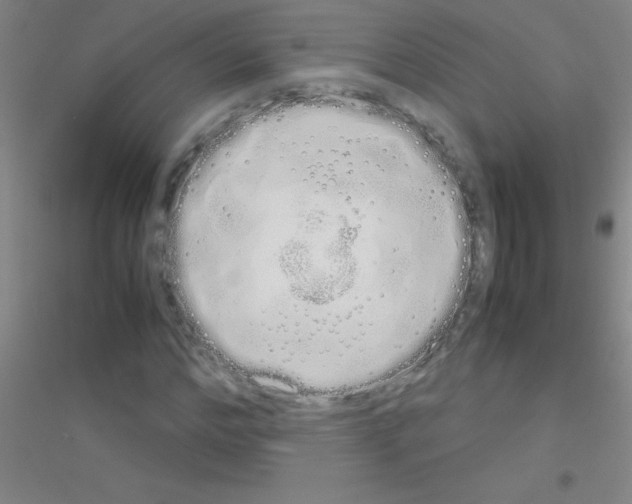X0000116840968201001291701