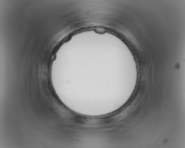 X0000116840969201001291701