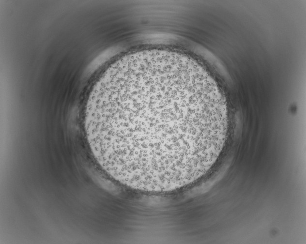 X0000116840970201001291701