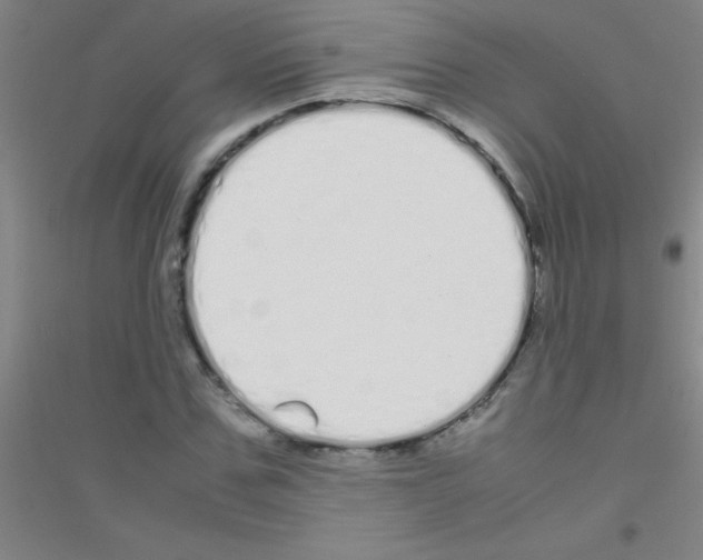 X0000116840971201001291701