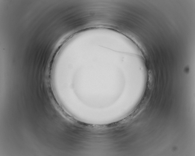 X0000116840972201001291701
