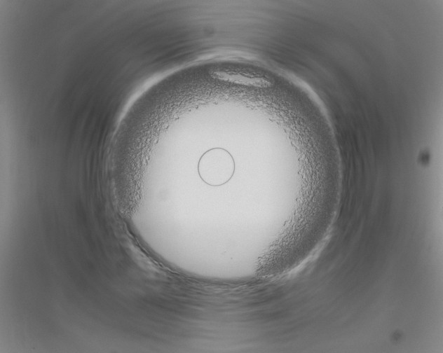 X0000116840973201001291701