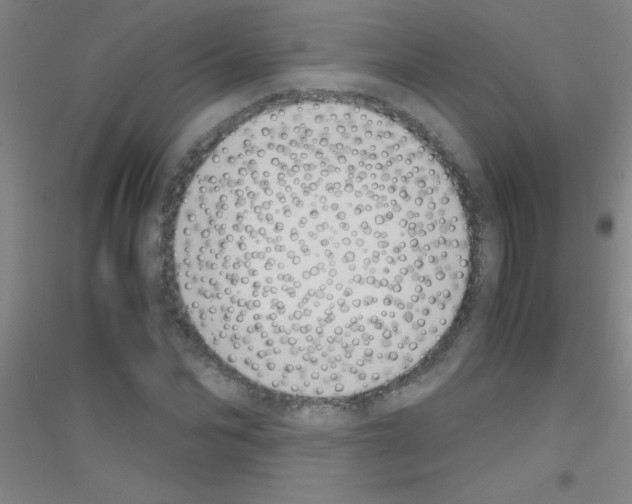 X0000116840974201001291701
