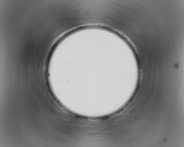 X0000116840975201001291701