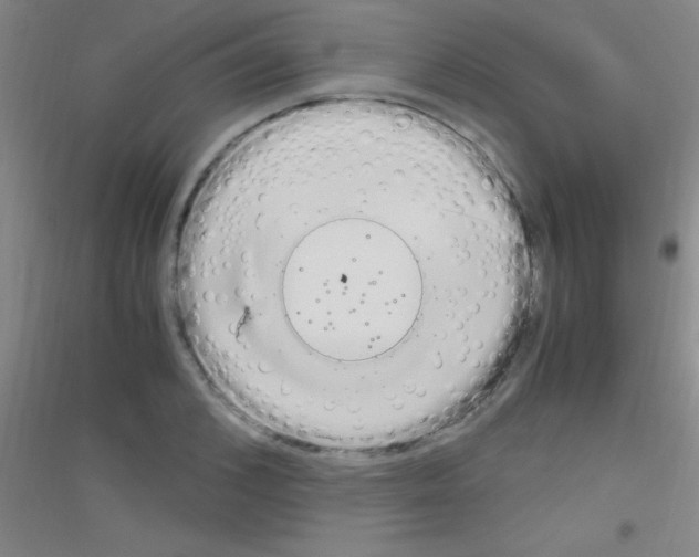 X0000116840976201001291701