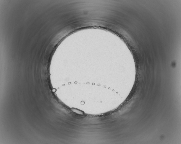 X0000116840977201001291701