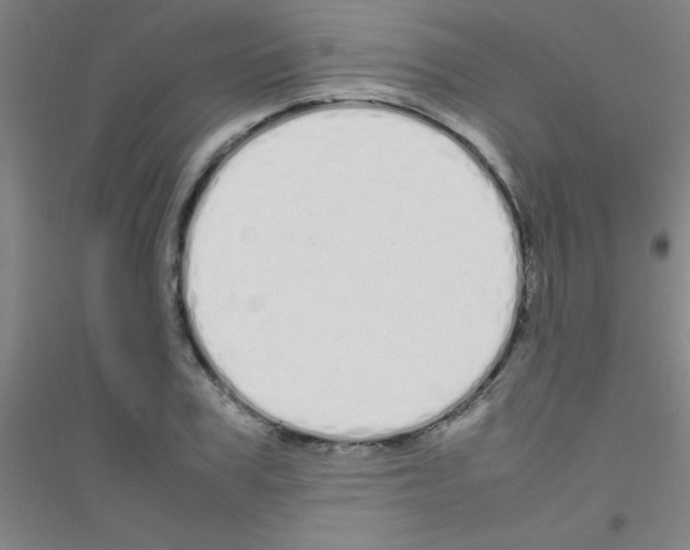 X0000116840979201001291701