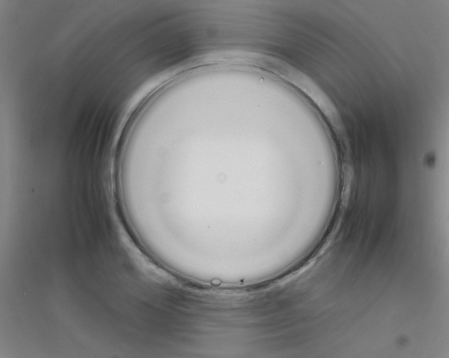 X0000116840980201001291701