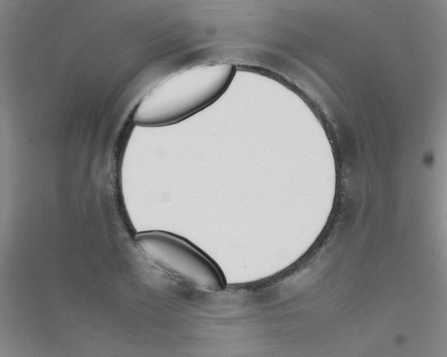 X0000116840981201001291701