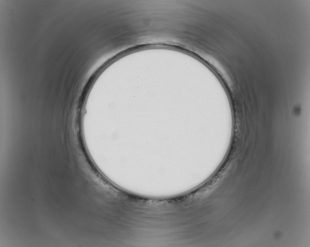 X0000116840983201001291701
