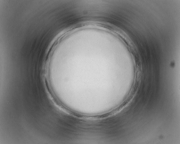 X0000116840984201001291701