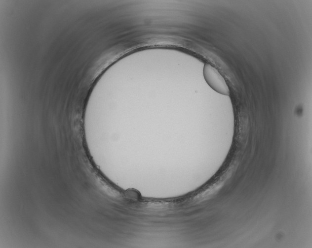X0000116840985201001291701