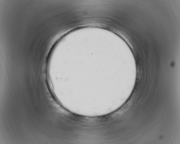 X0000116840987201001291701