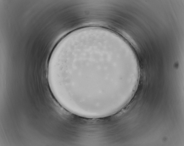 X0000116840988201001291701