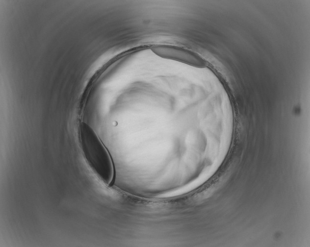 X0000116840989201001291701