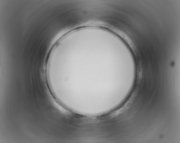 X0000116840990201001291701