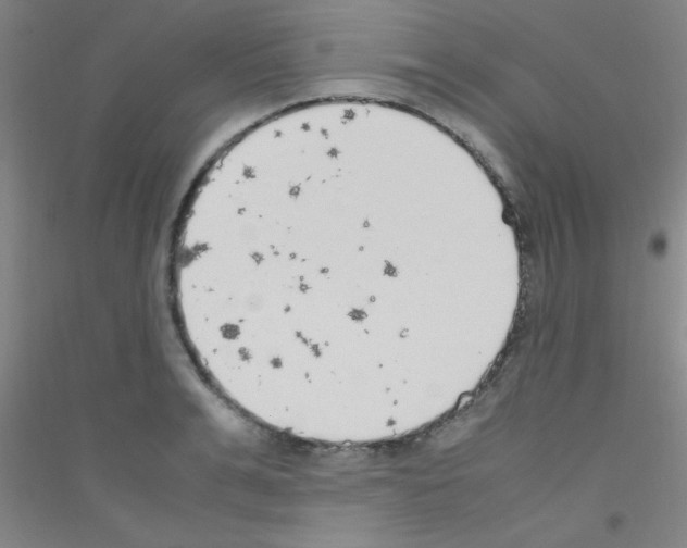 X0000116840991201001291701