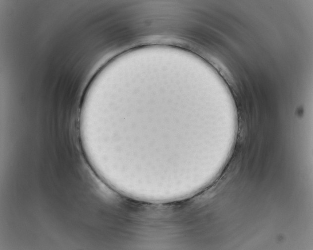 X0000116840992201001291701