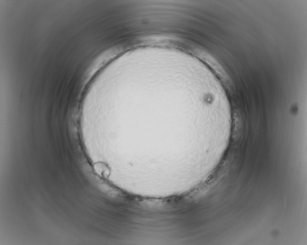 X0000116840994201001291701