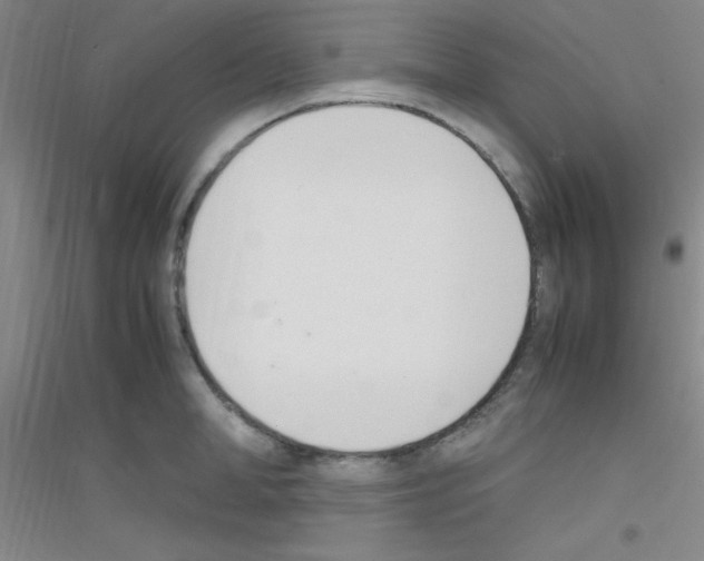 X0000116840998201001291701