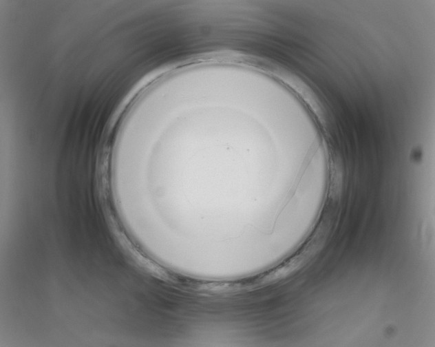 X0000116841000201001291701
