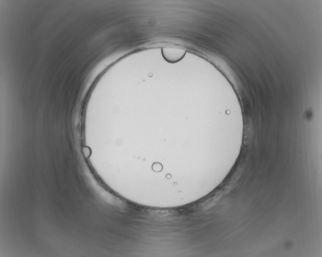 X0000116841003201001291700