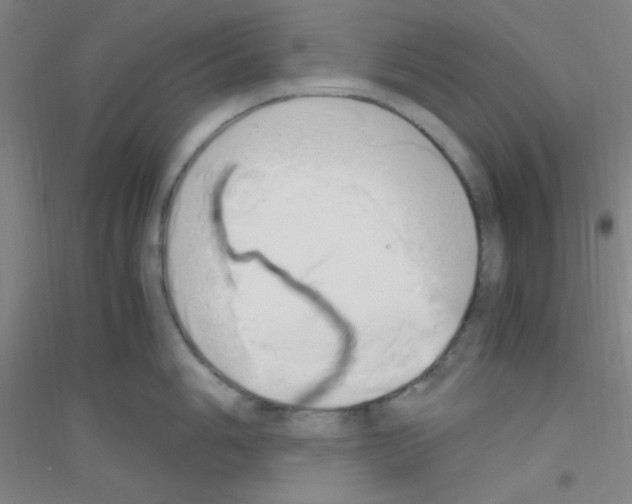 X0000116841006201001291700